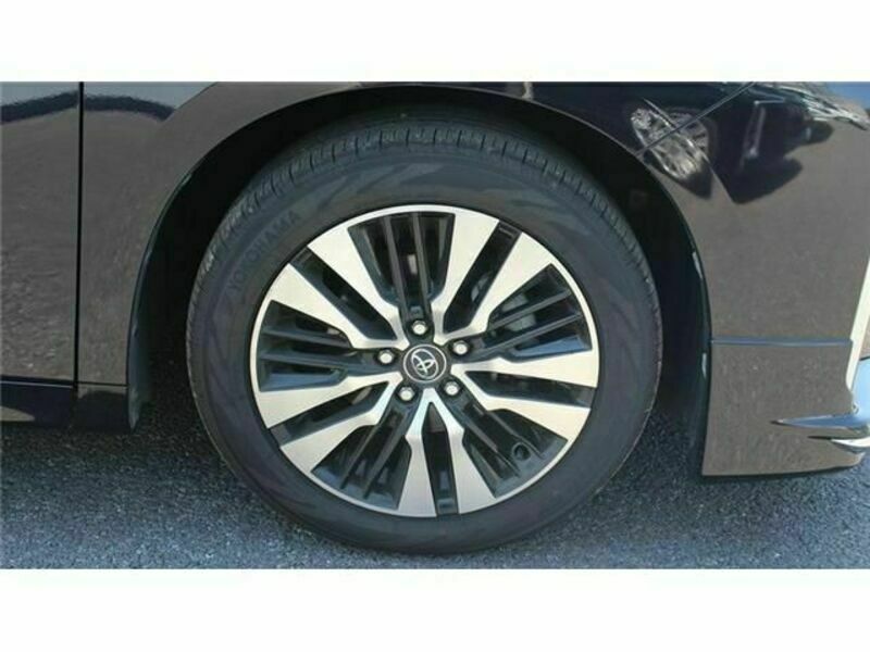 ALPHARD-12