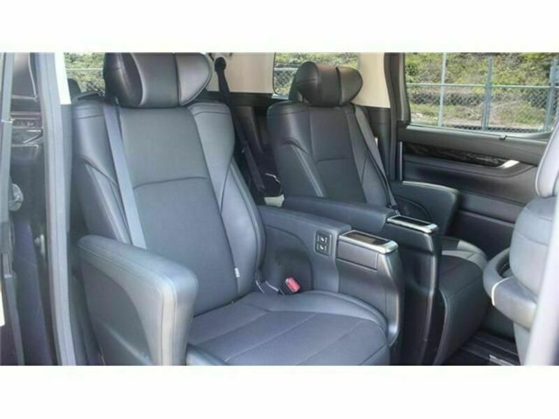 ALPHARD-13