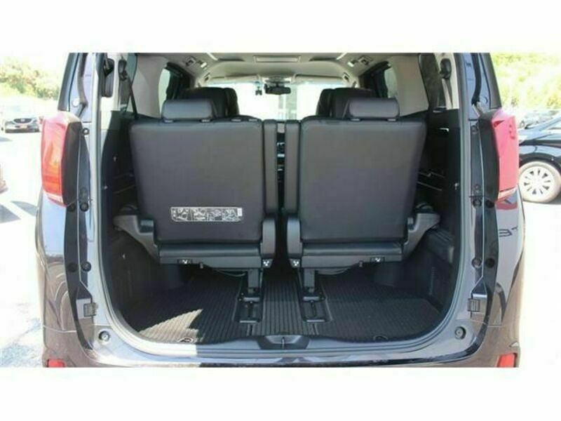 ALPHARD-15