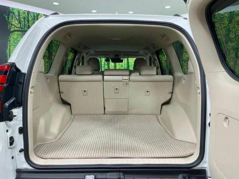 LAND CRUISER PRADO-9