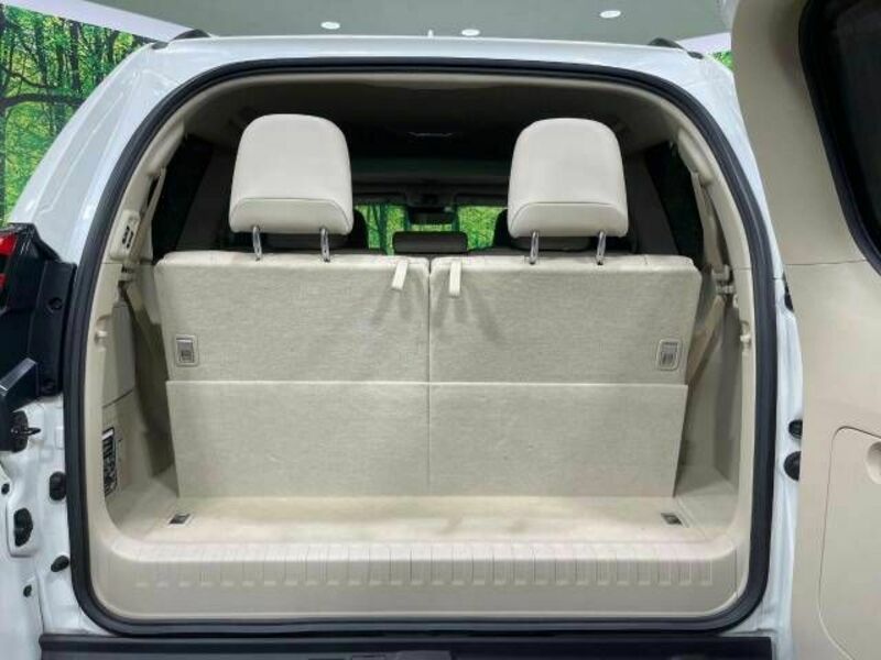 LAND CRUISER PRADO-10