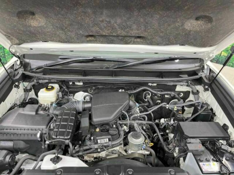 LAND CRUISER PRADO-17