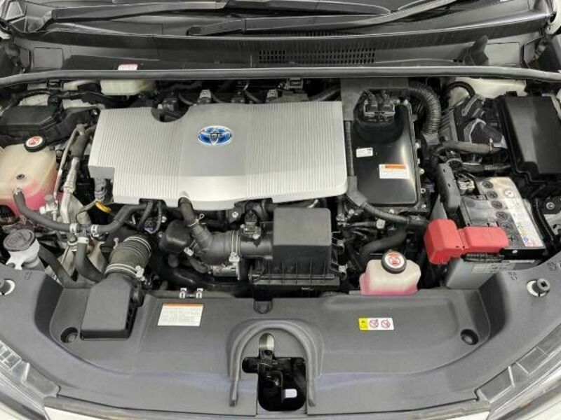 PRIUS-17