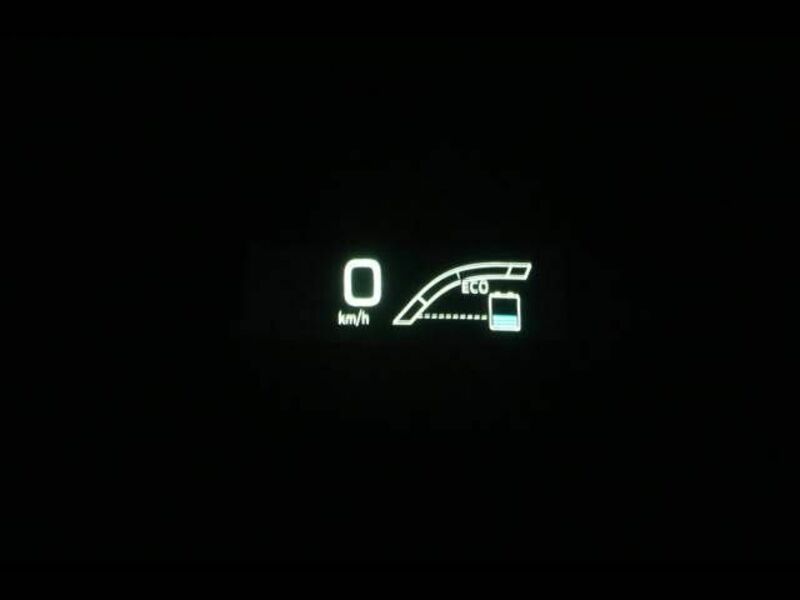 PRIUS-8