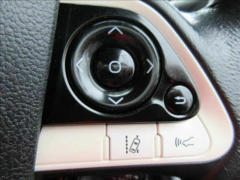 PRIUS-4