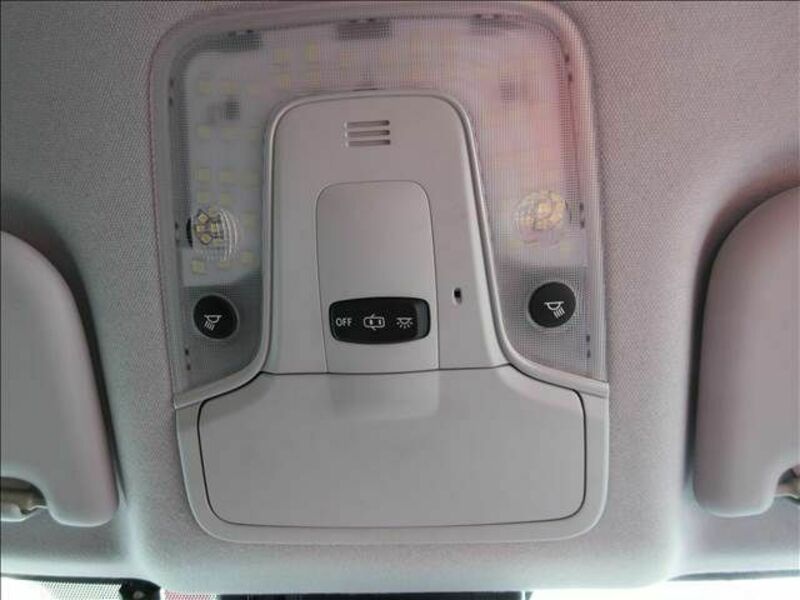 PRIUS-21