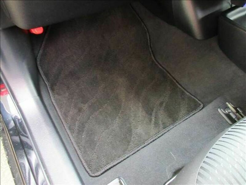 PRIUS-25