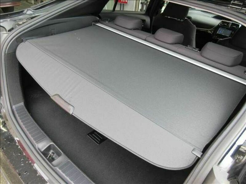 PRIUS-29