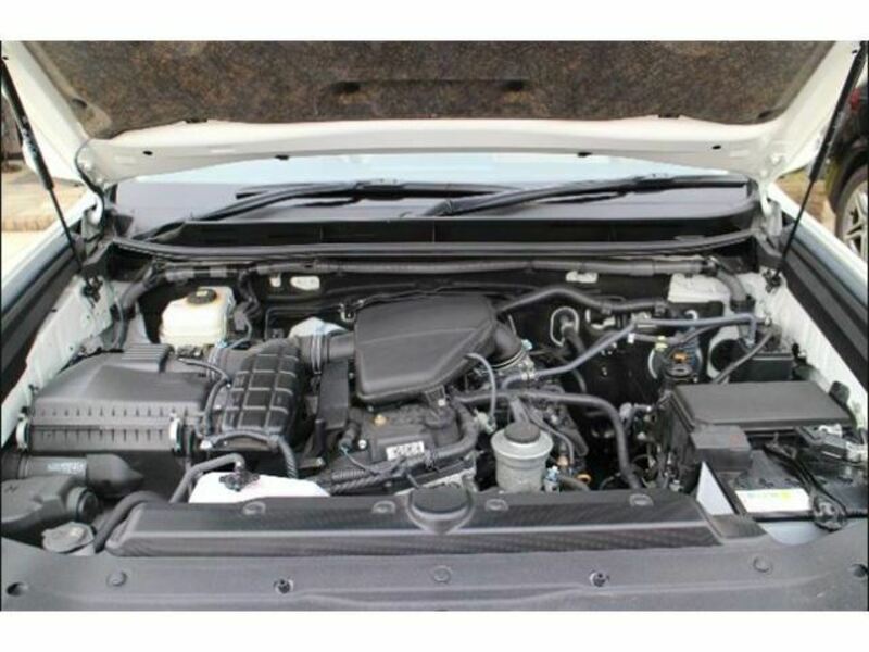LAND CRUISER PRADO-17