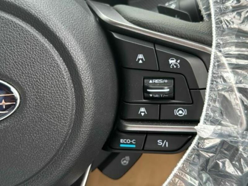 FORESTER-17