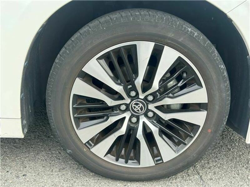 ALPHARD-8