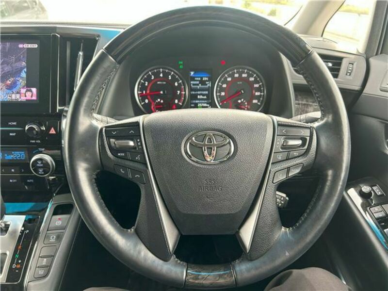 ALPHARD-13
