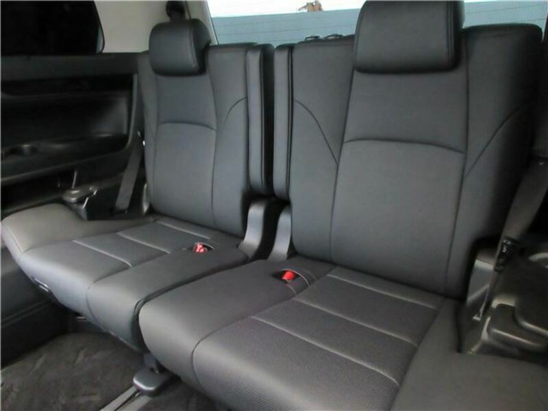 ALPHARD-11