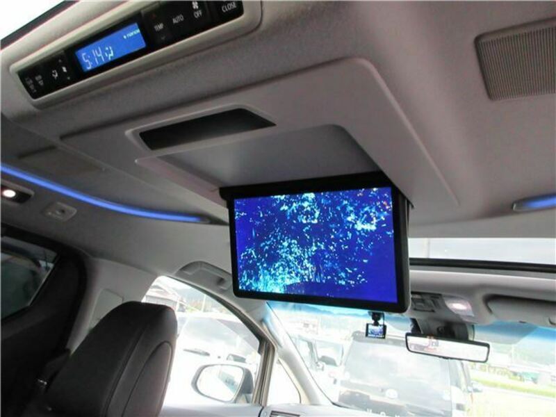 ALPHARD-15