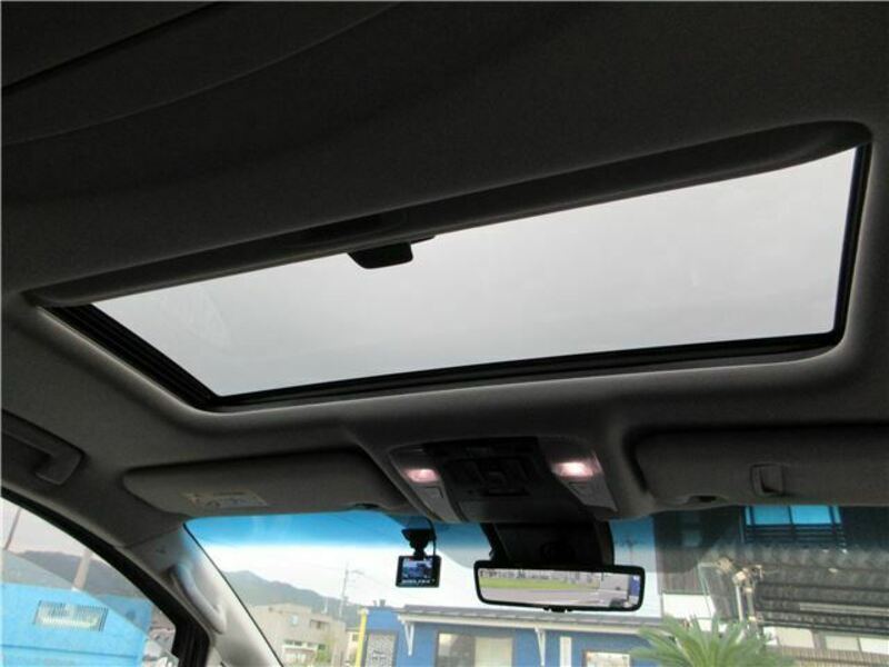 ALPHARD-31