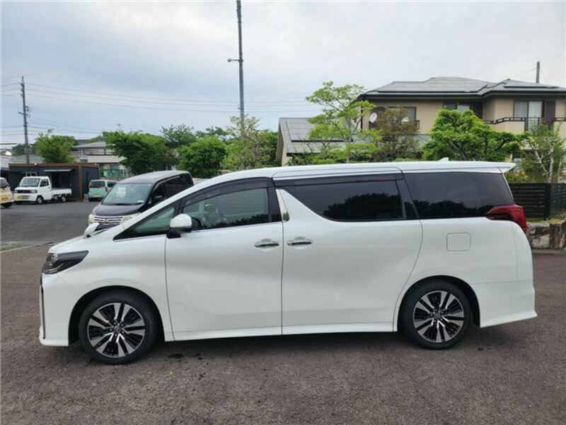 ALPHARD-6