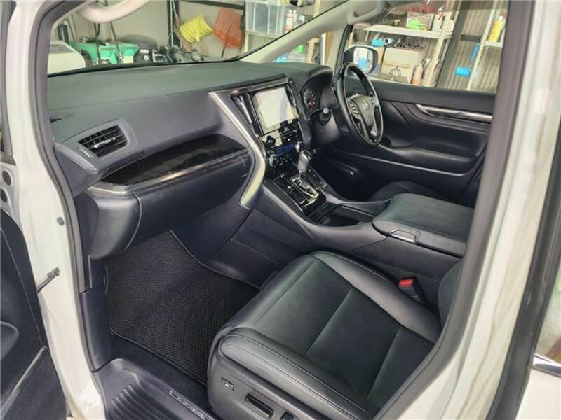 ALPHARD-10