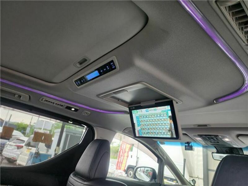 ALPHARD-18