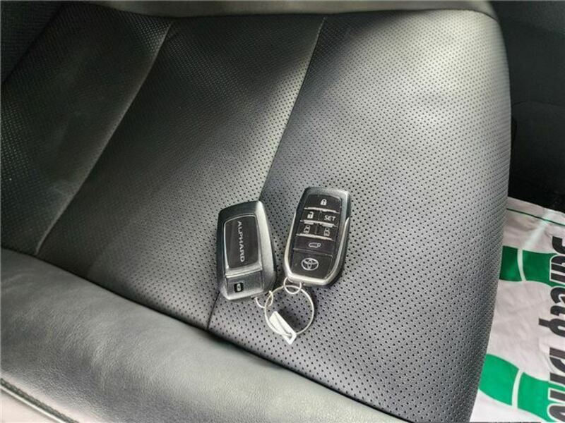 ALPHARD-19
