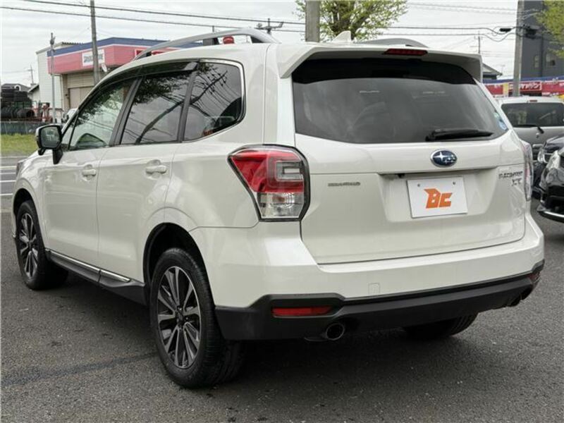 FORESTER-1