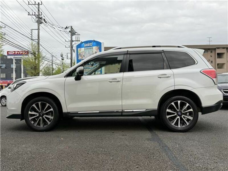 FORESTER-6