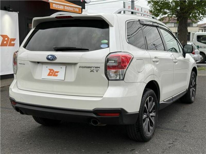 FORESTER-8