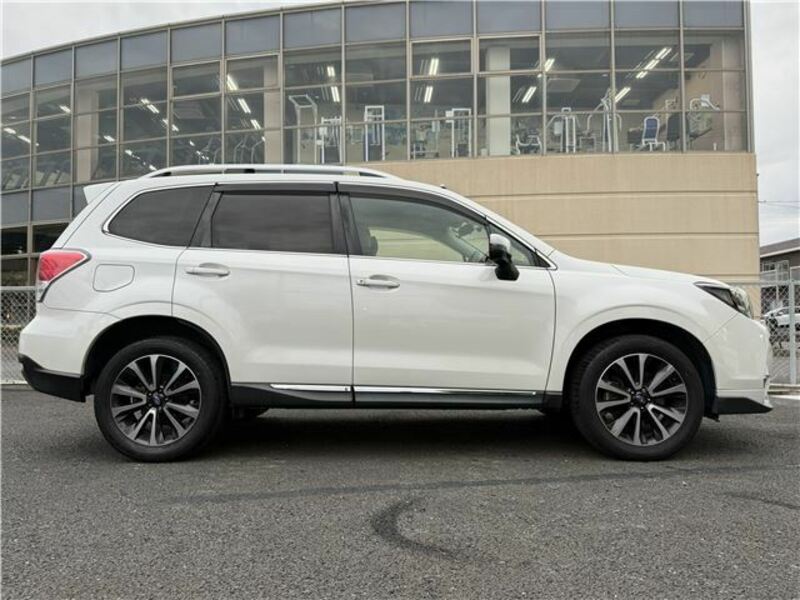 FORESTER-9