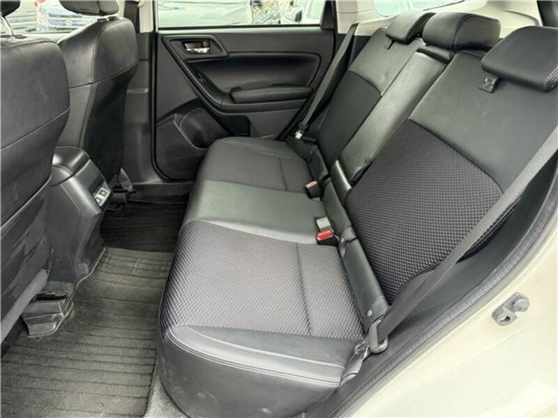 FORESTER-11