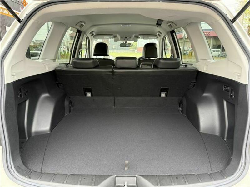 FORESTER-12