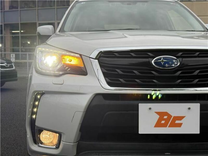 FORESTER-30