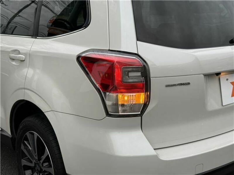 FORESTER-34