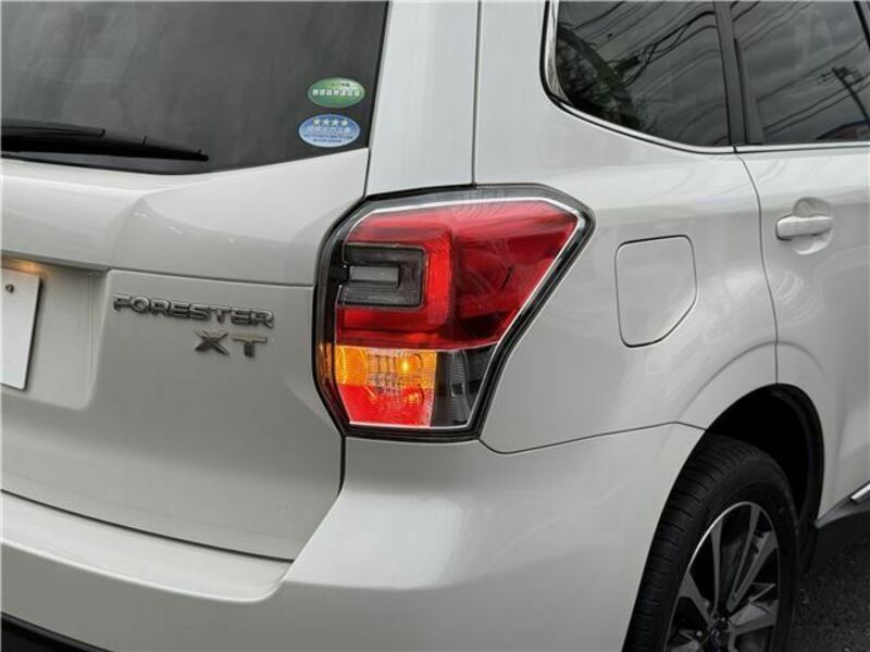 FORESTER-35
