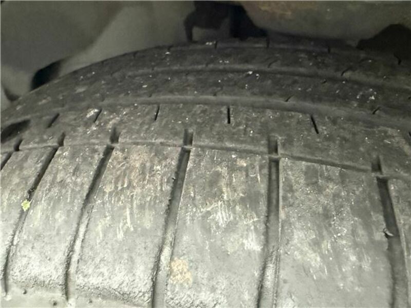 FORESTER-41