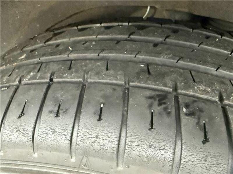 FORESTER-43