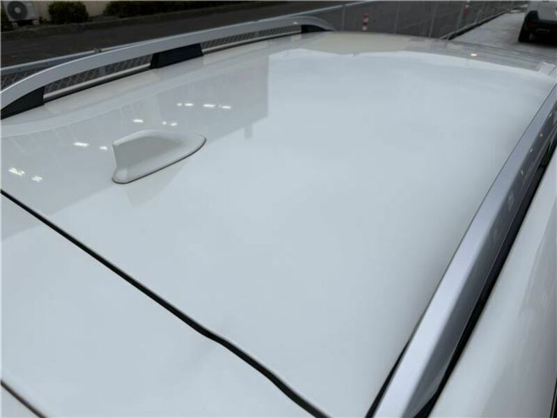 FORESTER-44