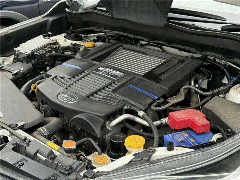 FORESTER-48