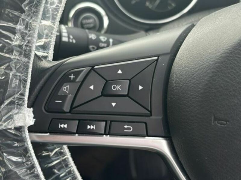 X-TRAIL-19