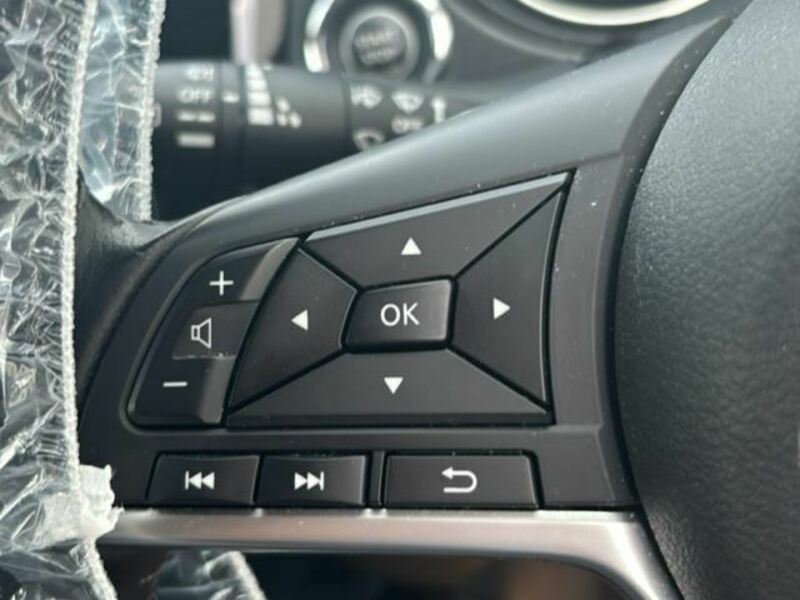 X-TRAIL-24