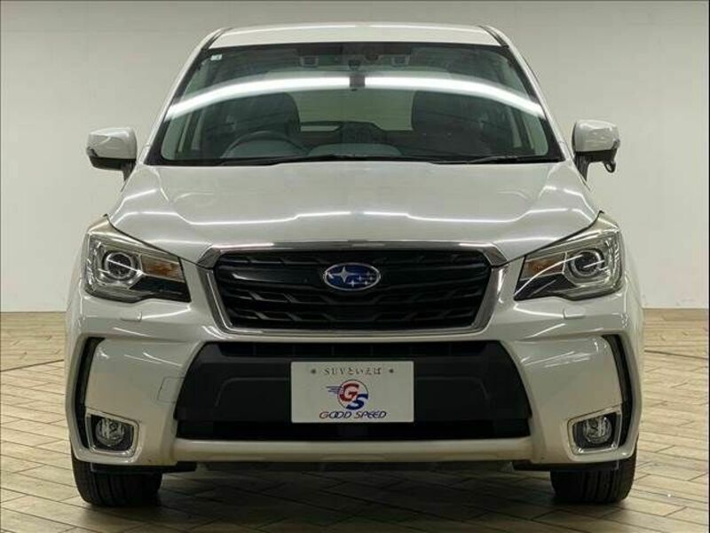 FORESTER-16