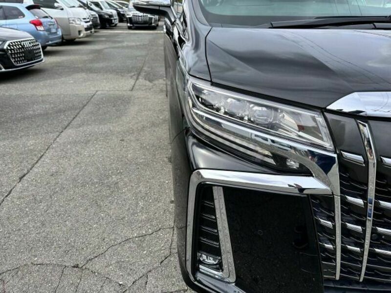 ALPHARD-8
