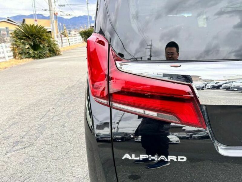 ALPHARD-10