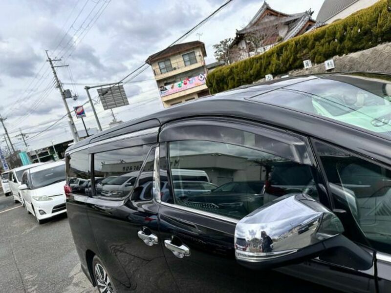 ALPHARD-13