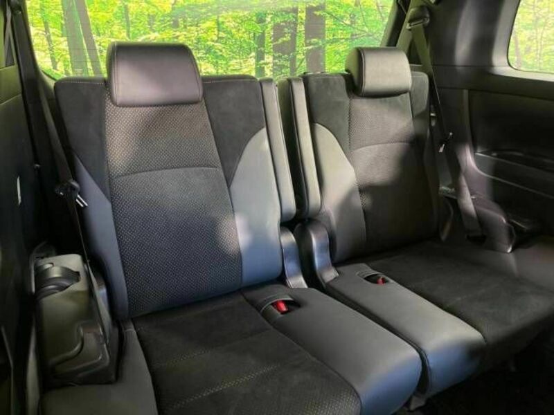 ALPHARD-10