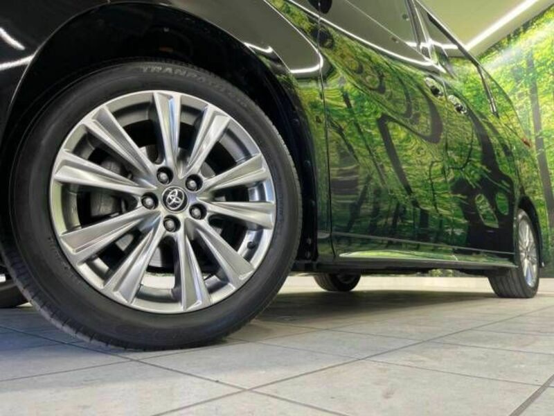 ALPHARD-14