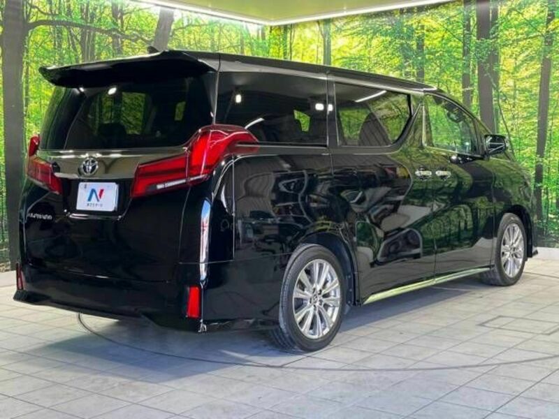 ALPHARD-18