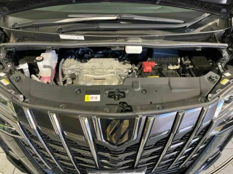 ALPHARD-19