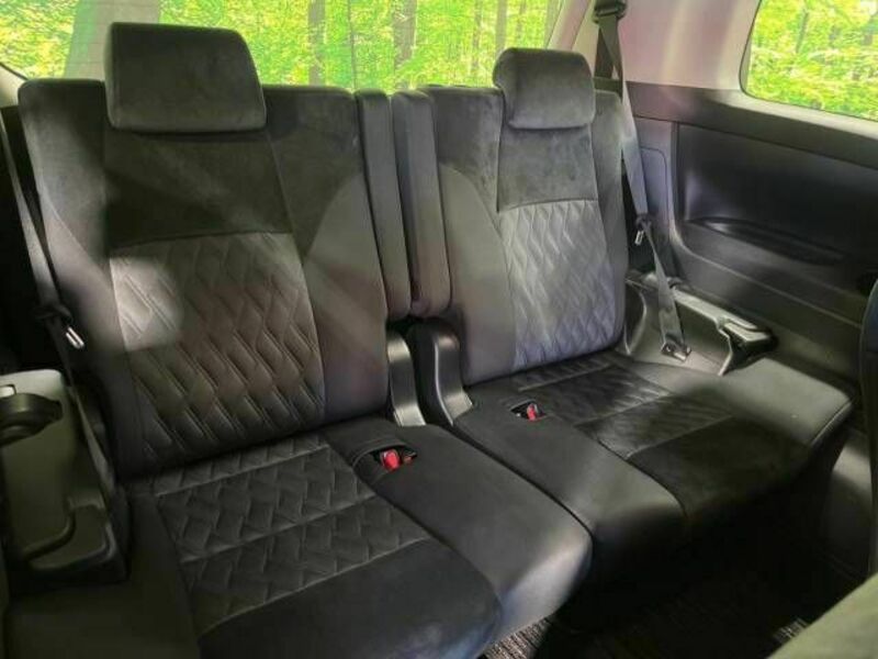 ALPHARD-10