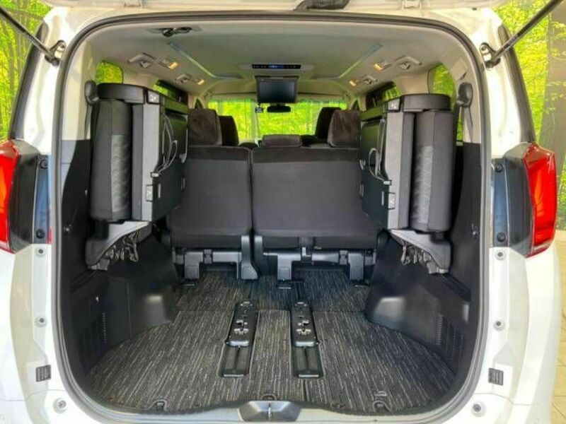 ALPHARD-11