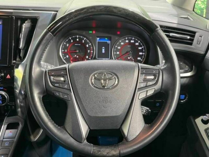 ALPHARD-12