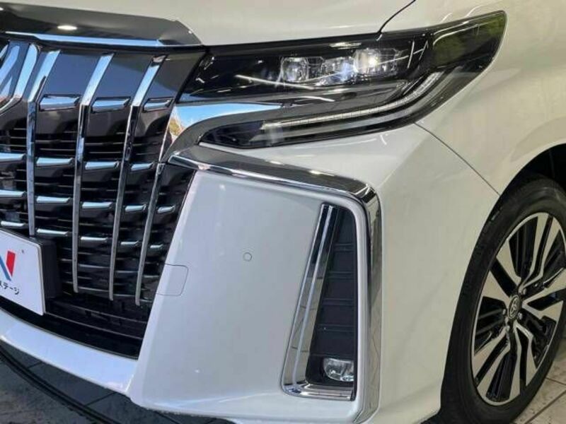 ALPHARD-13